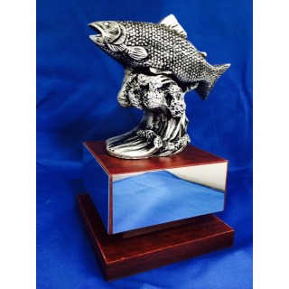 (TT-031) PESCA DEPORTIVA